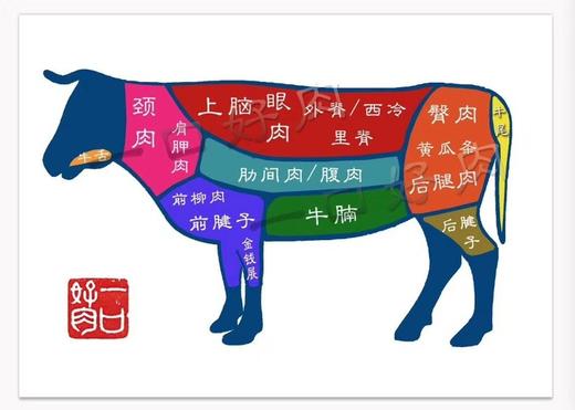 国产好牛肉 商品图7