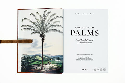 Martius: The Book of Palms /棕榈之书/ 原版画册 大开本 Taschen出版 商品图2
