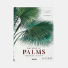 Martius: The Book of Palms /棕榈之书/ 原版画册 大开本 Taschen出版 商品缩略图0