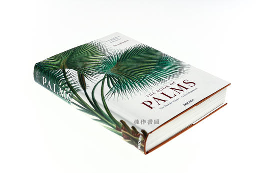 Martius: The Book of Palms /棕榈之书/ 原版画册 大开本 Taschen出版 商品图1