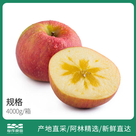 阿克苏冰糖心（4000g） 商品图0