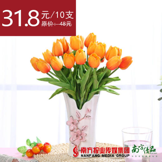 【4号提货】橙色郁金香 10支/扎 商品图0