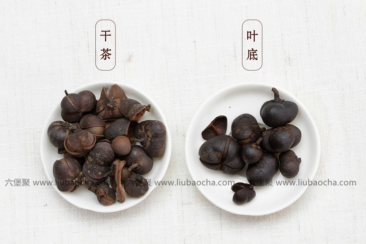 濡菲六堡茶2009年茶果250g500g