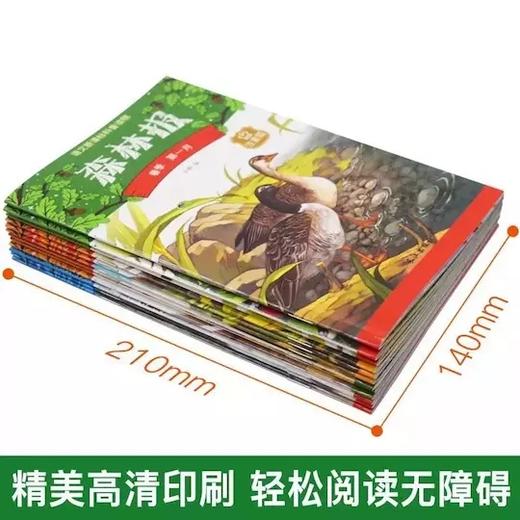 语文新课标科普读物《森林报》注音版 风靡全球的儿童科普名著！300幅精美配图 商品图8