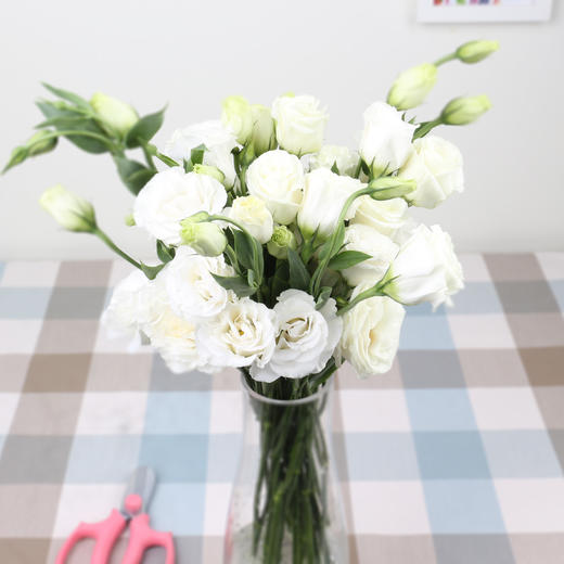 【徽上云花】（AA级）洋桔梗·白色 商品图0