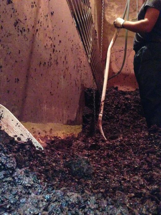 法国百年酒庄 获奖勒卡雷和慕林酒庄 干红葡萄酒 两瓶装 包邮 |百里食 商品图7