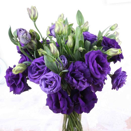 【花C自营】（AA级）洋桔梗·紫色 商品图0