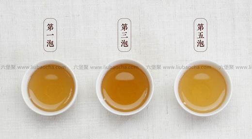 濡菲六堡茶 2012年 秋茶（250g） 商品图2
