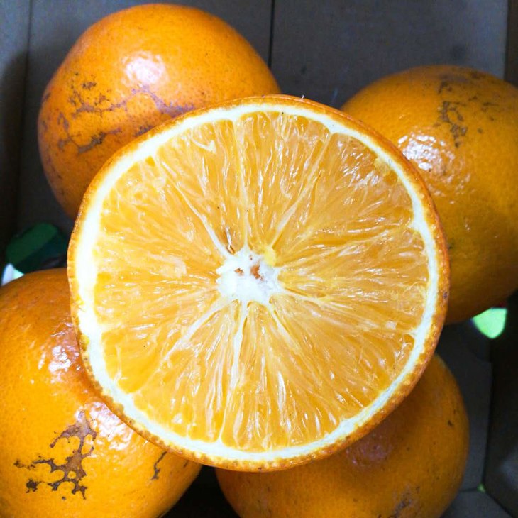 【奖品】云南哀牢山野橙 5斤±100g