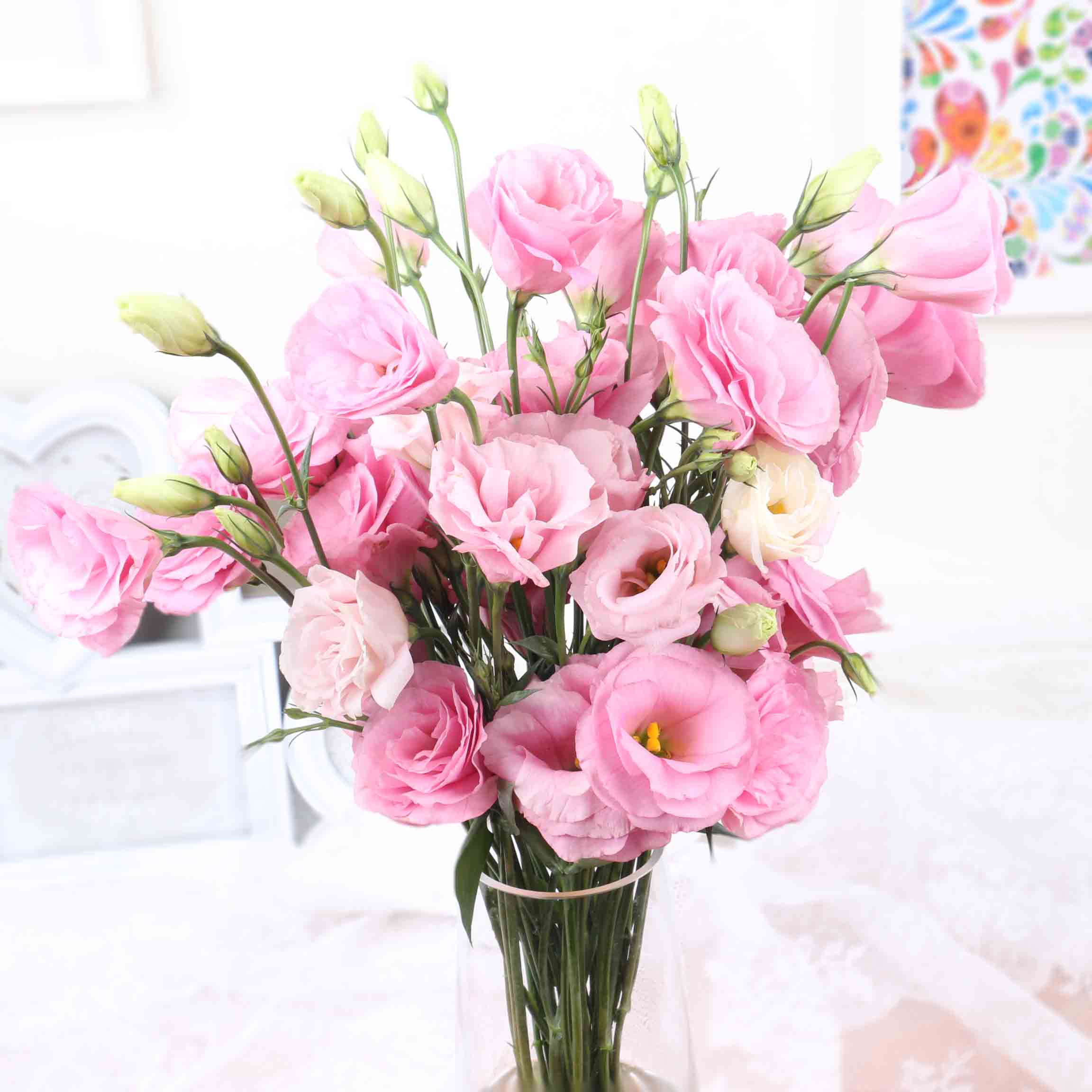 【徽上云花】（AA级）洋桔梗·粉色