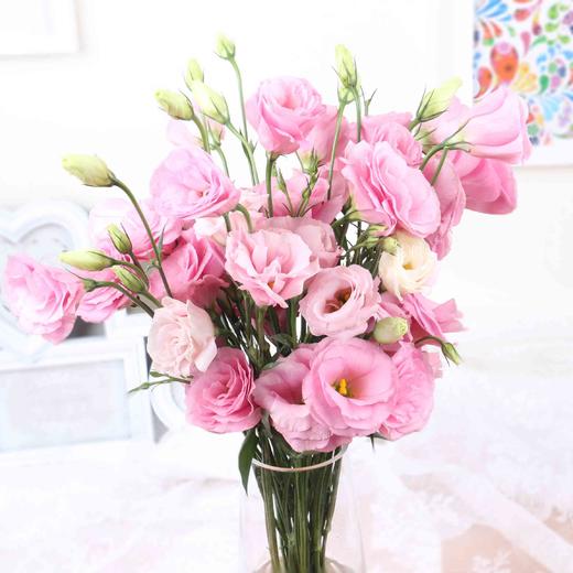 【徽上云花】（AA级）洋桔梗·粉色 商品图0
