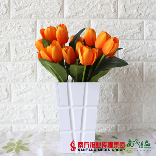 【4号提货】橙色郁金香 10支/扎 商品图4