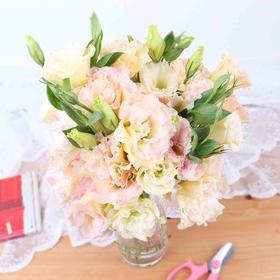 【徽上云花】（AA级）洋桔梗·香槟