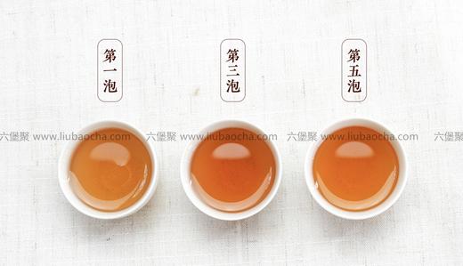 濡菲六堡茶 2011年 清明中叶茶（250g） 商品图2