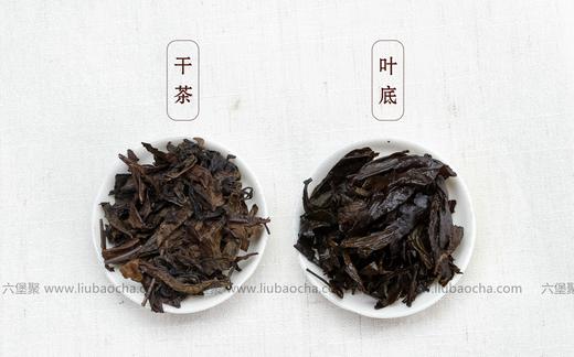 濡菲六堡茶 2011年 清明中叶茶（250g） 商品图1