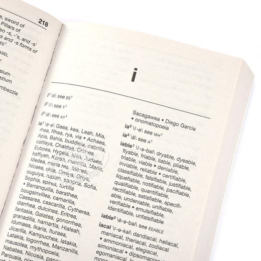 【中商原版】麦林韦氏韵律字典 第二版 英文原版 Merriam-Webster's Rhyming Dictionary 商品图2