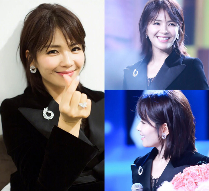 精致锆石明星刘涛同款胸花橄榄枝胸针rs