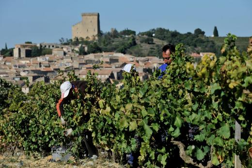 法国百年酒庄 获奖勒卡雷和慕林酒庄 干红葡萄酒 两瓶装 包邮 |百里食 商品图5