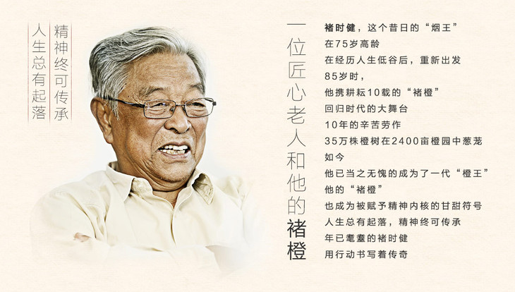 励志橙·褚时健 褚橙 特级果1箱10斤