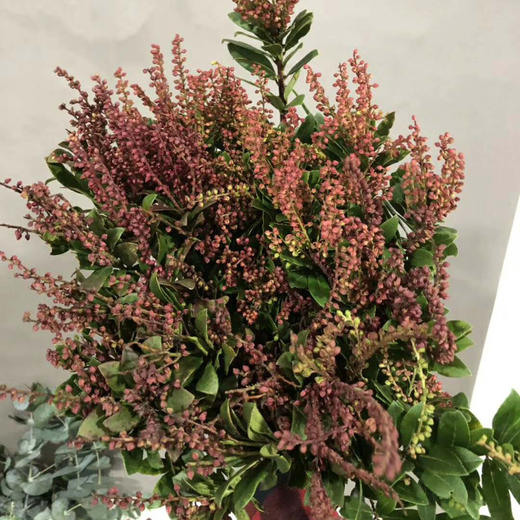 山里红 - 花c鲜花供应链