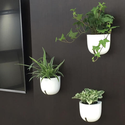 钉上墙】壁挂精灵墙壁装饰花盆创意无痕吸附绿植盆景自动吸水懒人盆栽