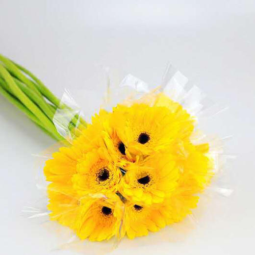 非洲菊·黄色 商品图0