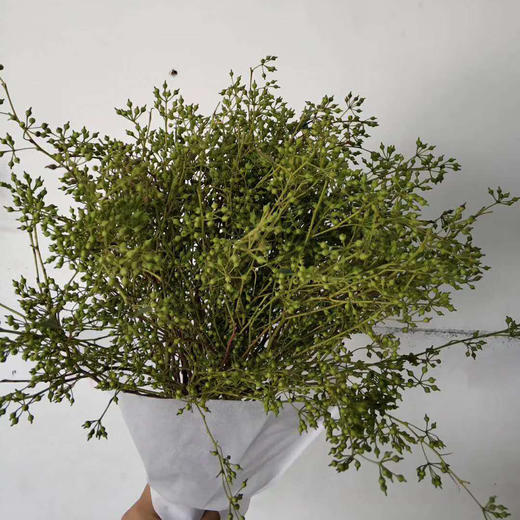 小米果 商品图0