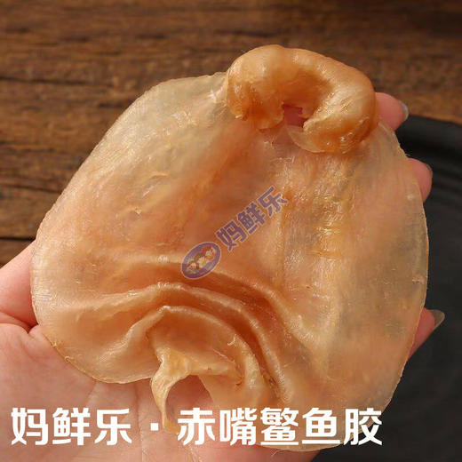 【本港赤嘴鳘鱼胶】一斤8-20头，野生赤嘴鳘鱼胶是鱼胶中的极品 自用送礼佳品 全国顺丰包邮！ 商品图2