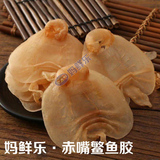 【本港赤嘴鳘鱼胶】一斤8-20头，野生赤嘴鳘鱼胶是鱼胶中的极品 自用送礼佳品 全国顺丰包邮！ 商品图3
