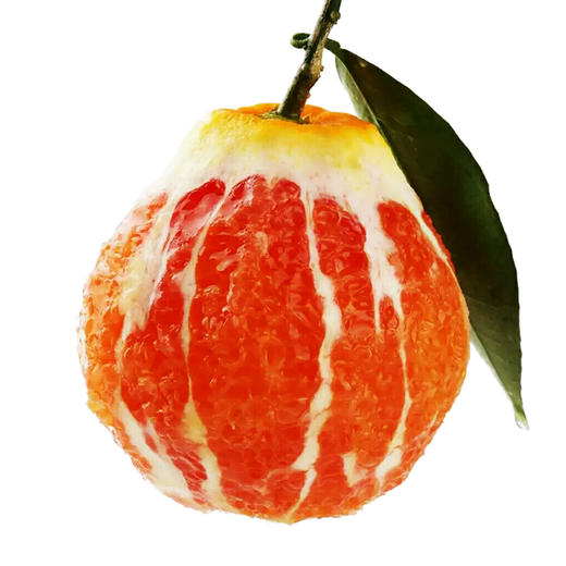 【余庆·塔罗科血橙】5斤 生态种植 果园现摘现发 新鲜直达  商品图0