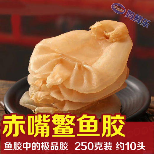【本港赤嘴鳘鱼胶】一斤8-20头，野生赤嘴鳘鱼胶是鱼胶中的极品 自用送礼佳品 全国顺丰包邮！ 商品图1