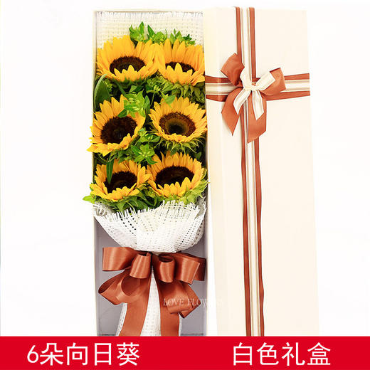 鲜花6枝向日葵鲜花礼盒tza43