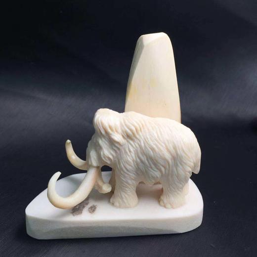 d401208猛犸象牙大象小摆