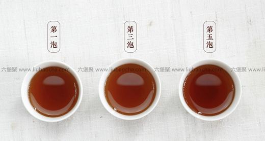 濡菲六堡茶 2016年 一级秋茶（250g） 商品图2