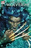 金刚狼归来 主刊 Return Of Wolverine（2018）普封 商品缩略图3
