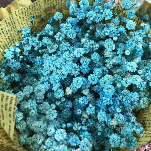 千万星--吸色·天蓝色 商品图2