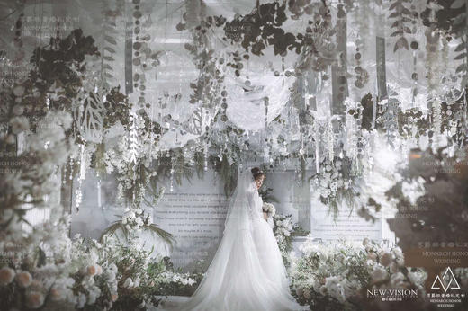 亮片吊顶【运费自理】 商品图4