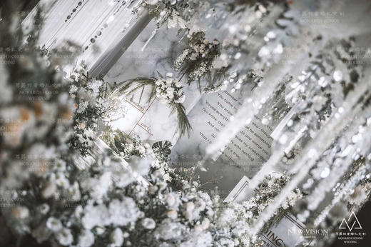 亮片吊顶【运费自理】 商品图6