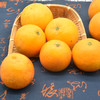 【余庆·塔罗科血橙】5斤 生态种植 果园现摘现发 新鲜直达  商品缩略图2