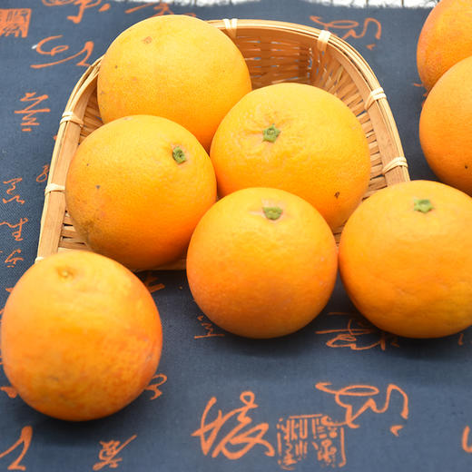 【余庆·塔罗科血橙】5斤 生态种植 果园现摘现发 新鲜直达  商品图2