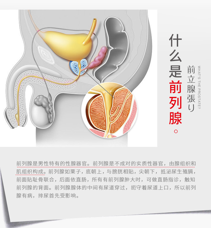 drrotus磁熱療貼前列腺貼男性慢性前列腺炎貼輔助尿頻尿急尿不盡