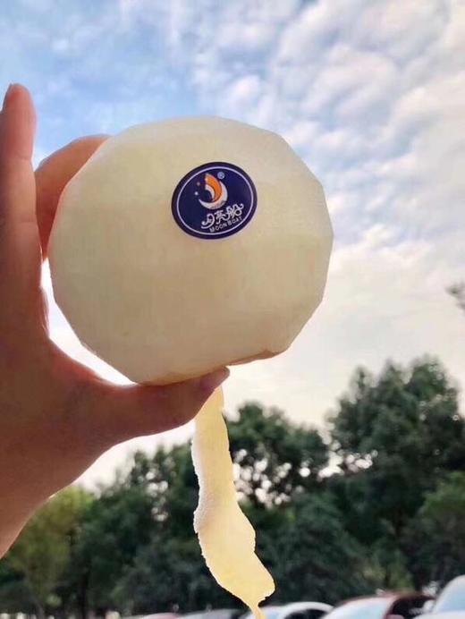 细腻无渣 脆甜多汁 蜜糖梨 【8只大果礼盒装】 商品图0