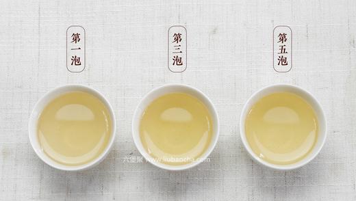 濡菲六堡茶 2018年 霜降芽茶（250g） 商品图1