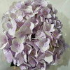 绣球·粉紫色 商品缩略图0