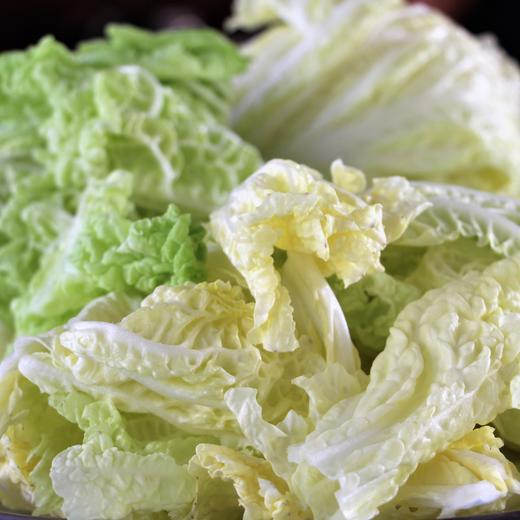 有机大白菜 甘甜可口 | 石嫣农场* Chinese Cabbage | Self-Produced 商品图4
