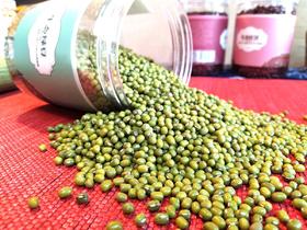 【内蒙小绿豆】【五星推荐】老品种， 发芽率高， 自然食材，2瓶起发