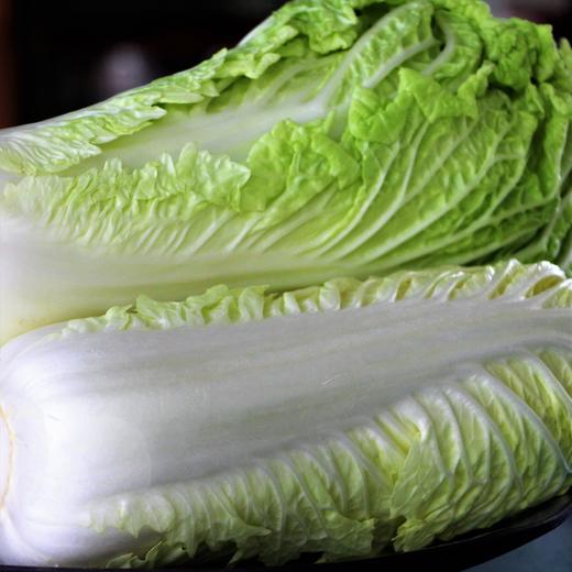 有机大白菜 甘甜可口 | 石嫣农场* Chinese Cabbage | Self-Produced 商品图1