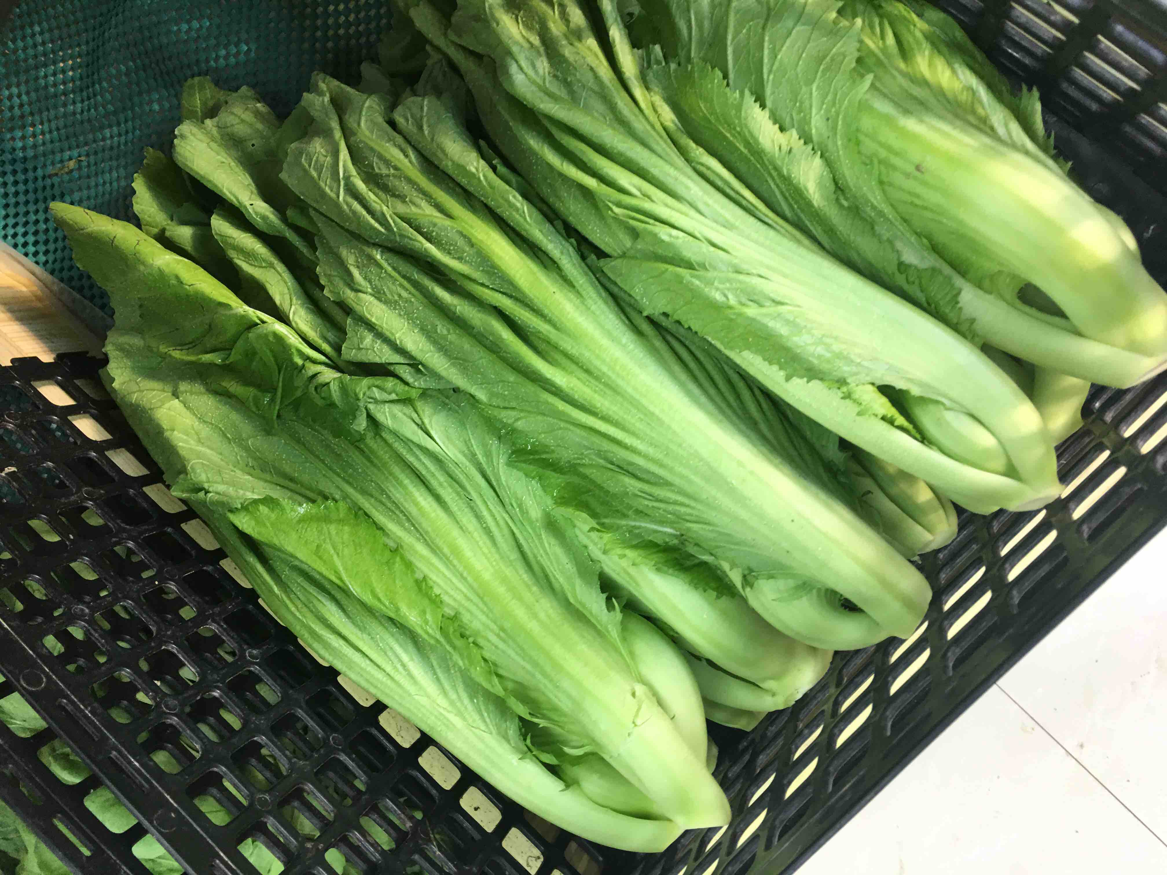 【禾春元食品】禾春元 原生态竹芥菜 1份/约500g/约350g (林晓晴的菜)