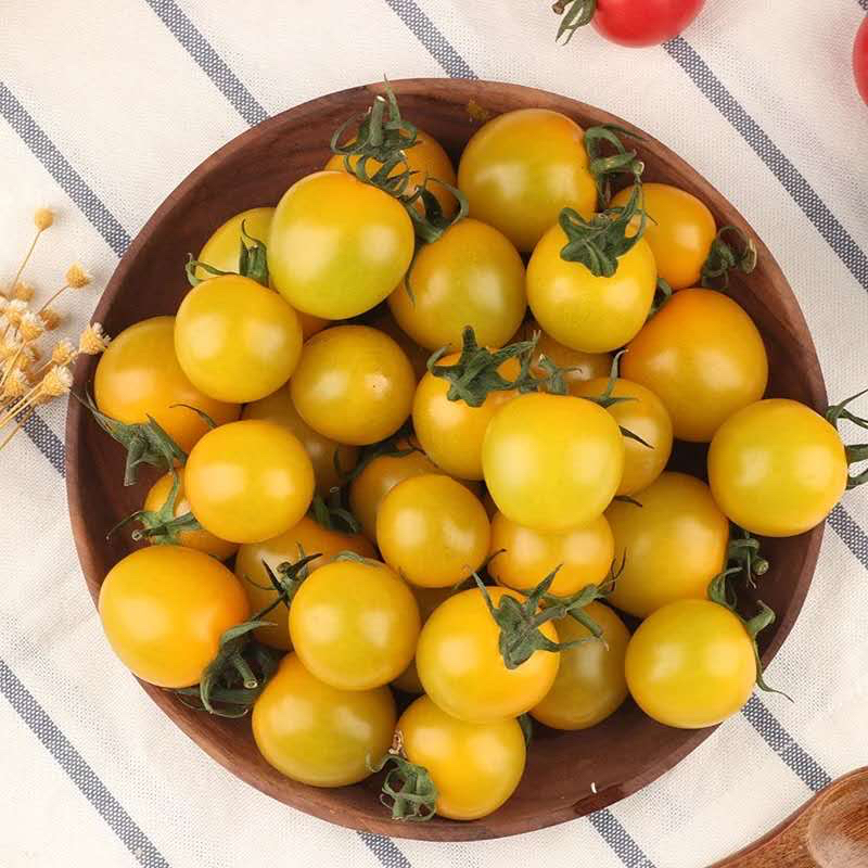 黄色小番茄皮薄体态均匀入口清甜爽脆很甜蕃茄味很浓