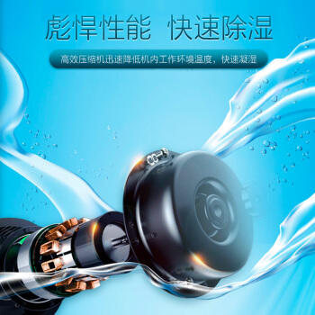 格力除湿机家用静音抽湿机DH40EF 大功率地下室吸湿器干燥机防潮 商品图3